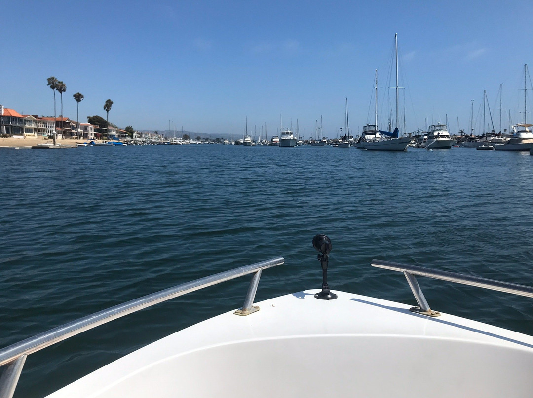 Balboa Boat Rentals景点图片