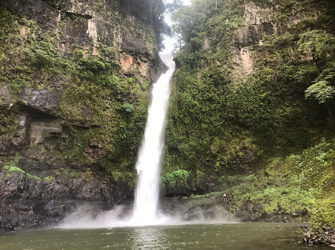 Nandroya Falls- 阿瑟顿必去景点