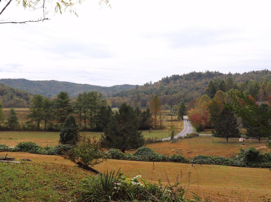 The Pines Country Inn主图