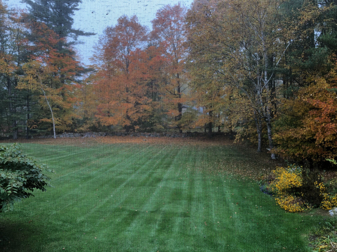 Noble House Inn主图