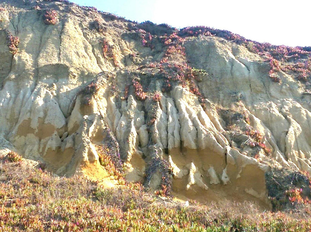 Mussel Rock Park-戴利城必去景点