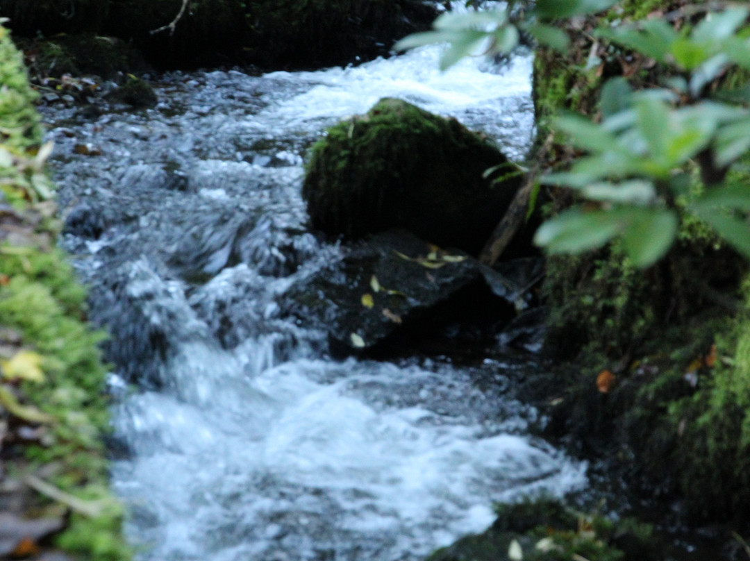 Afon Rhaiadr Country House主图