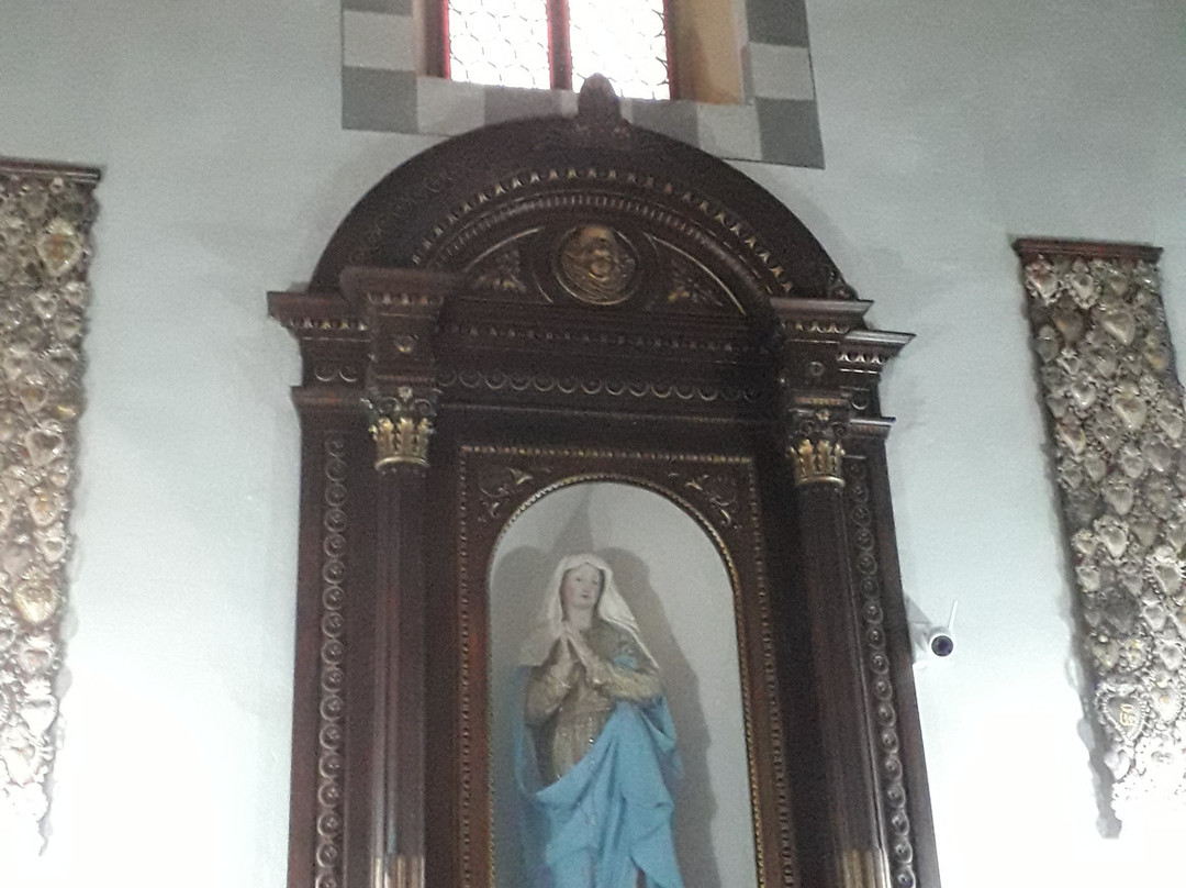 Collegiata di Santa Maria Assunta景点图片