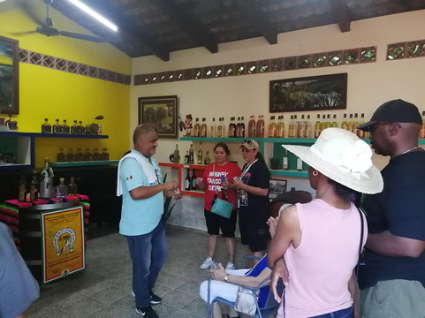 My Tours Vallarta-瓦拉塔港必去景点