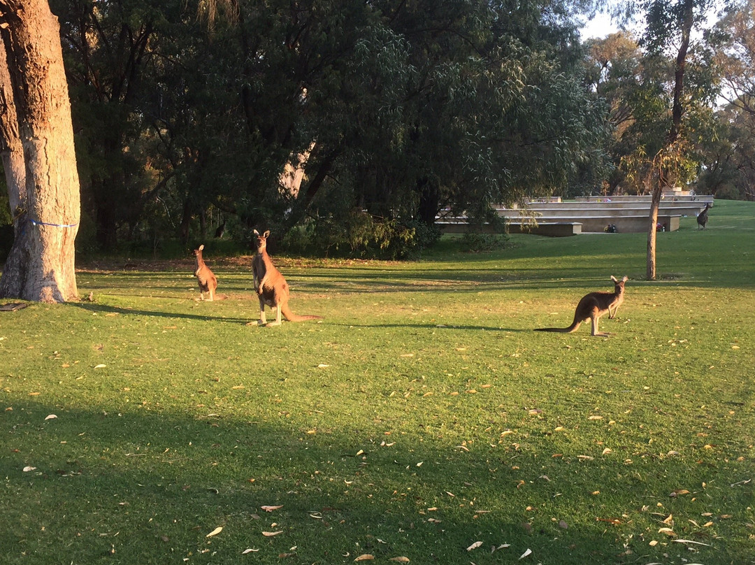 Pinnaroo Valley Memorial Park景点图片