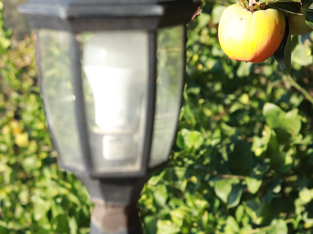 B&B Dimora dell’Etna主图