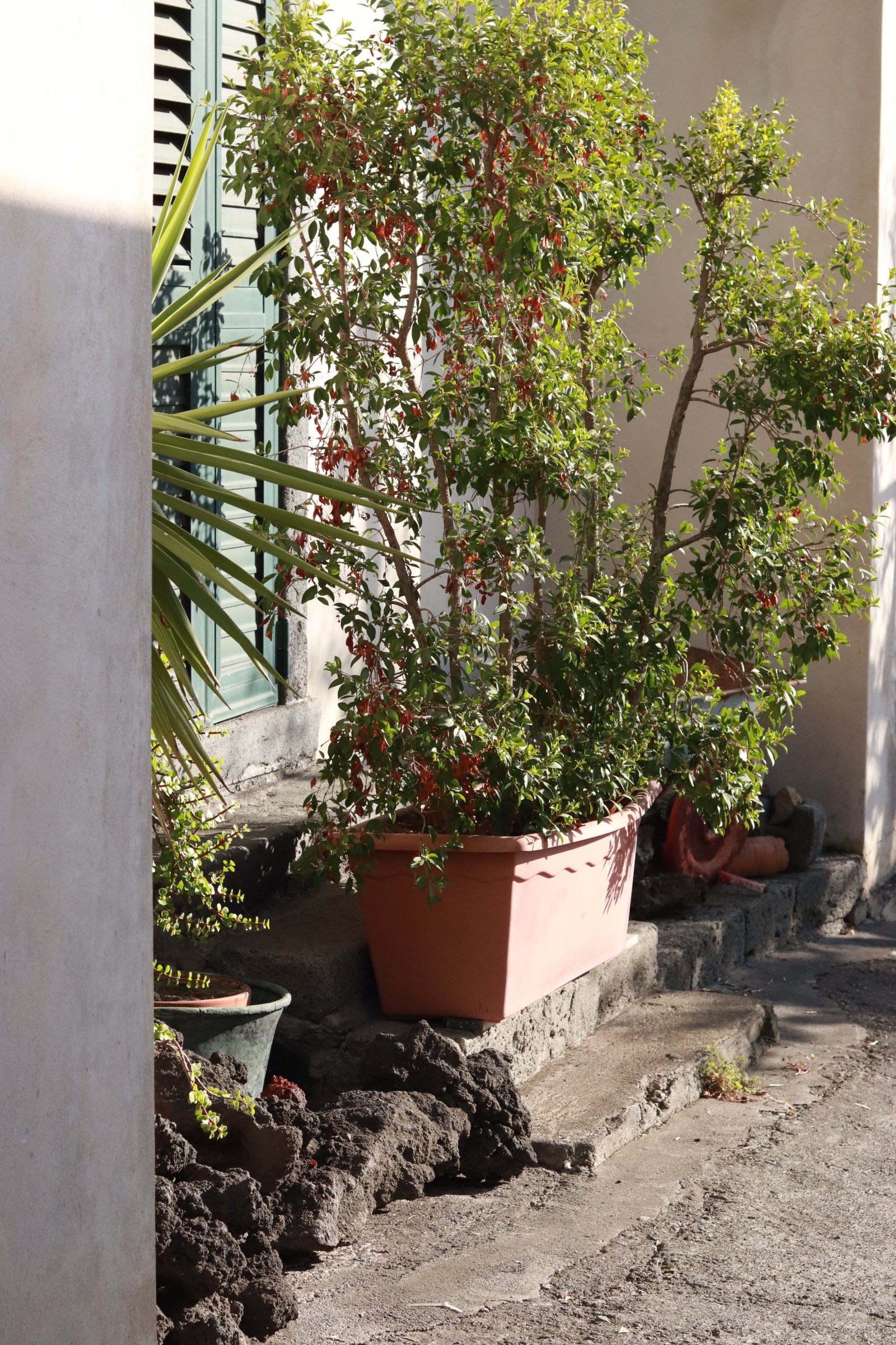 B&B Dimora dell’Etna-酒店景观