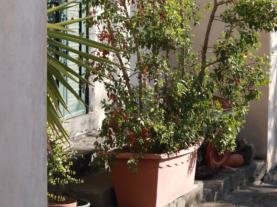 B&B Dimora dell’Etna主图