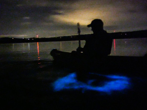 Taino Aqua Adventures