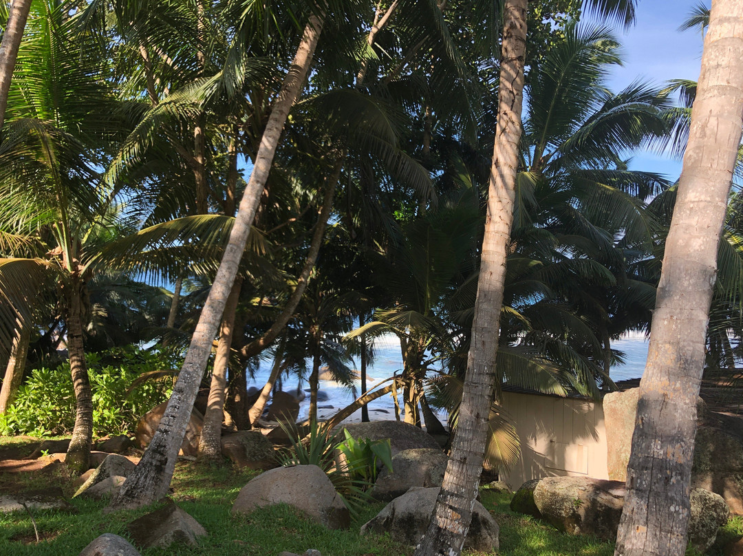 Domaine Desaubin Luxury Villas主图