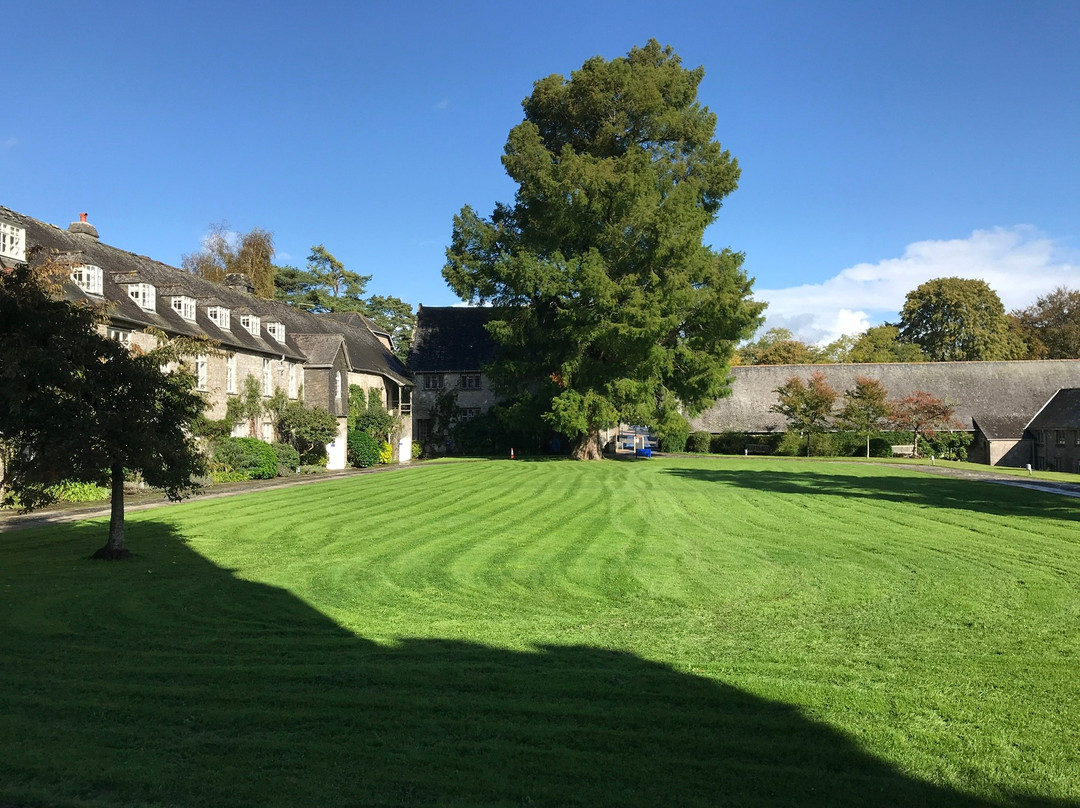 Dartington Hall主图