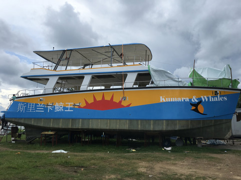 Kumara and Whales-美蕊沙必去景点