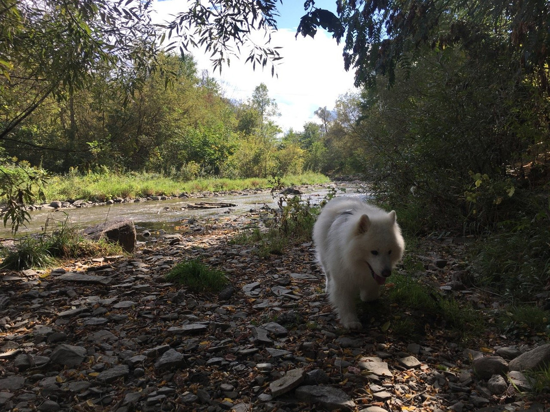 Etobicoke Valley Park-多伦多必去景点