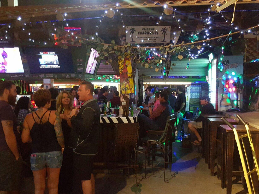Jungle Bar Cabo景点图片