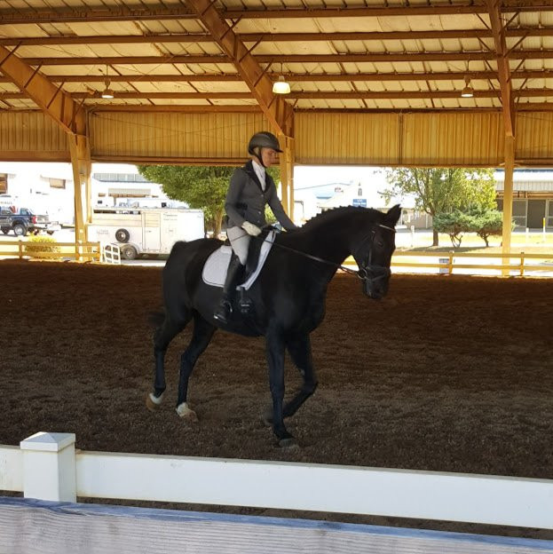 Virginia Horse Center-列克星敦必去景点