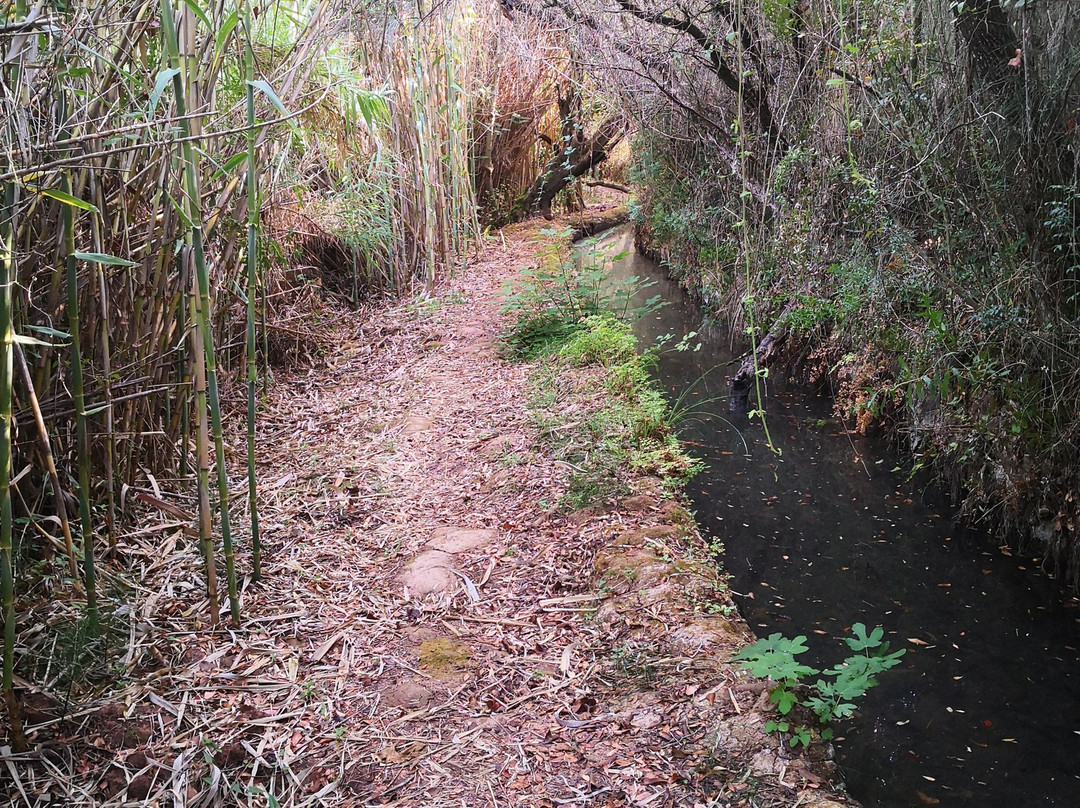 Trilho da Fonte Benemola-Loule必去景点