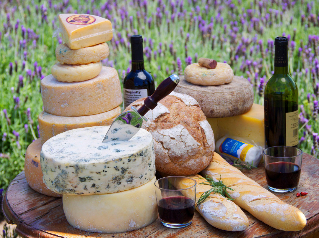 Queseria Neole-Tequisquiapan必去景点