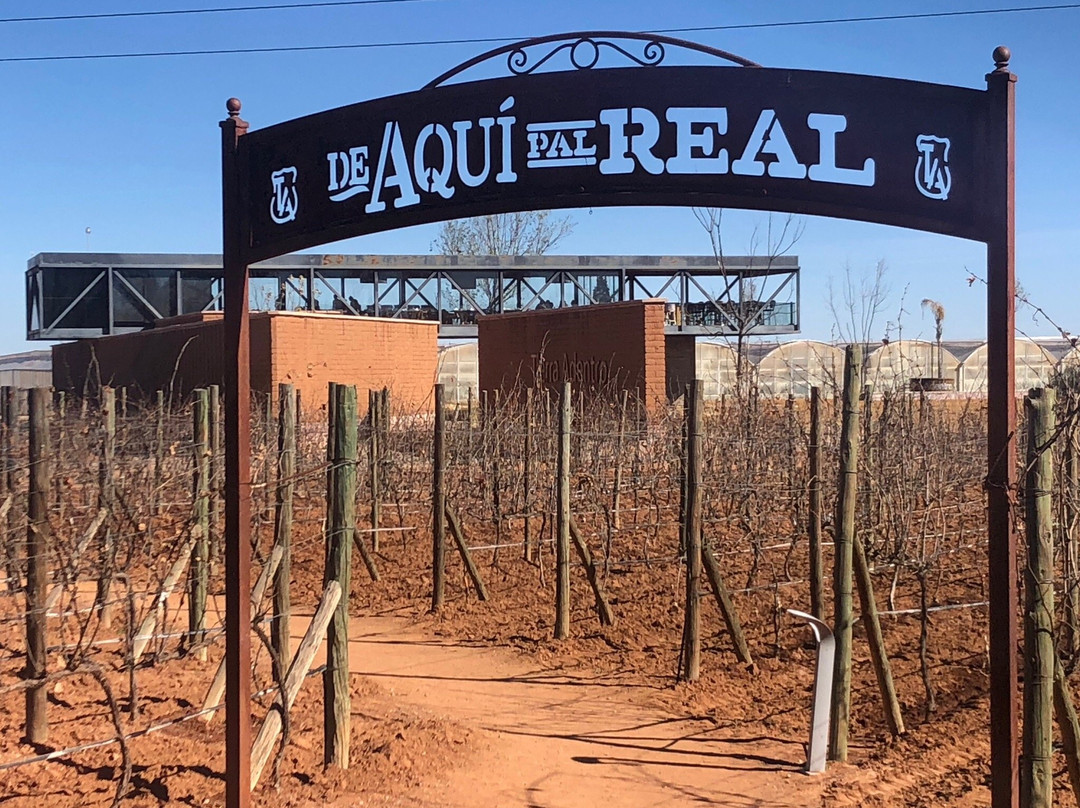 Vinedos Tierra Adentro