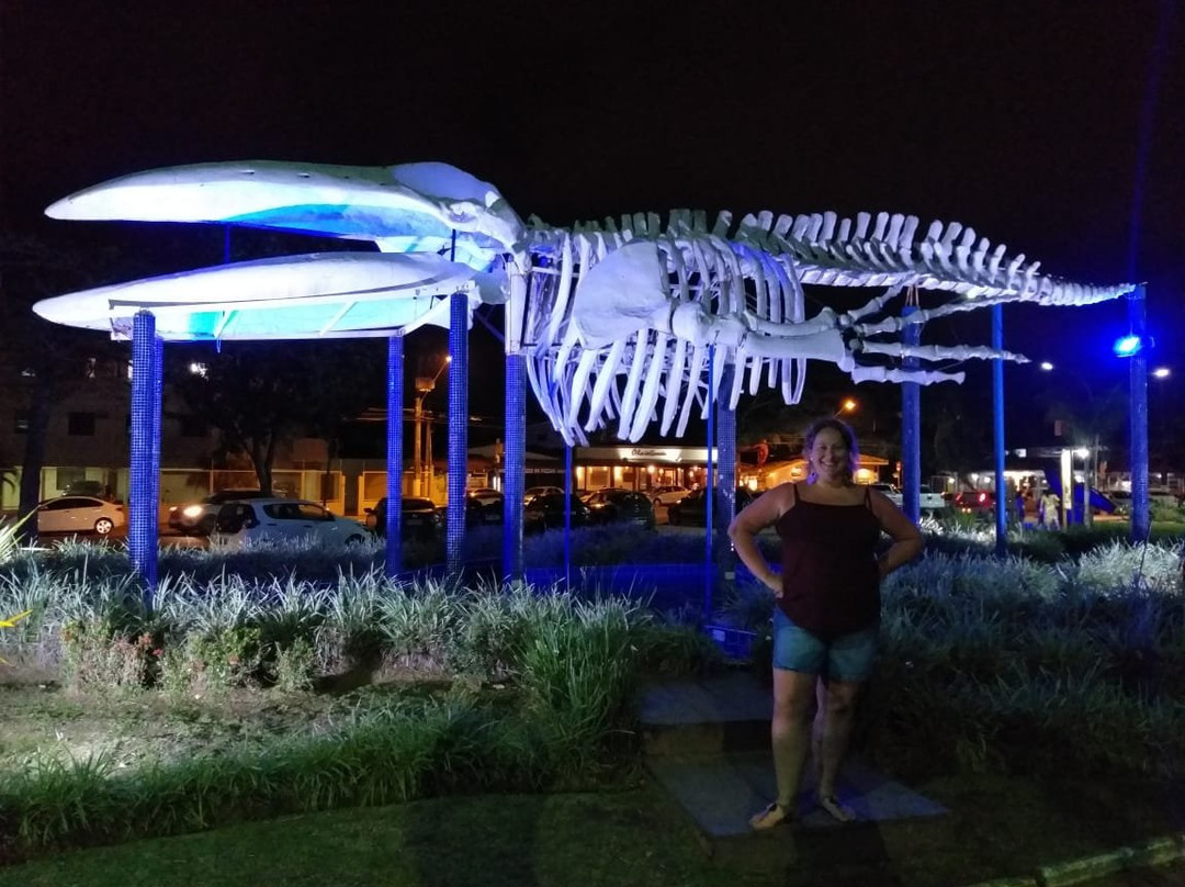 Praca da Baleia-乌巴图巴必去景点