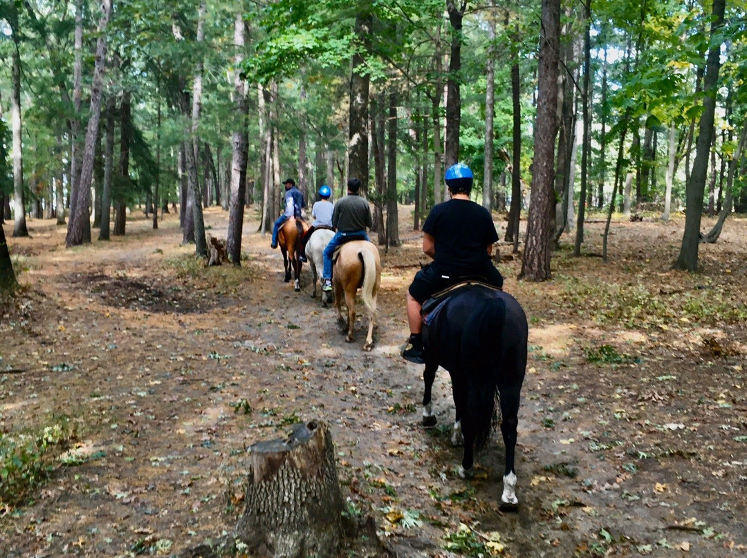 C and L Stables-West Warwick必去景点