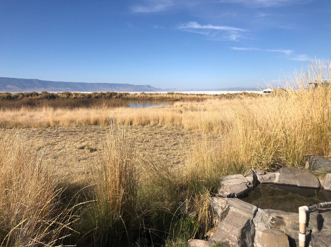 Summer Lake Hot Springs主图