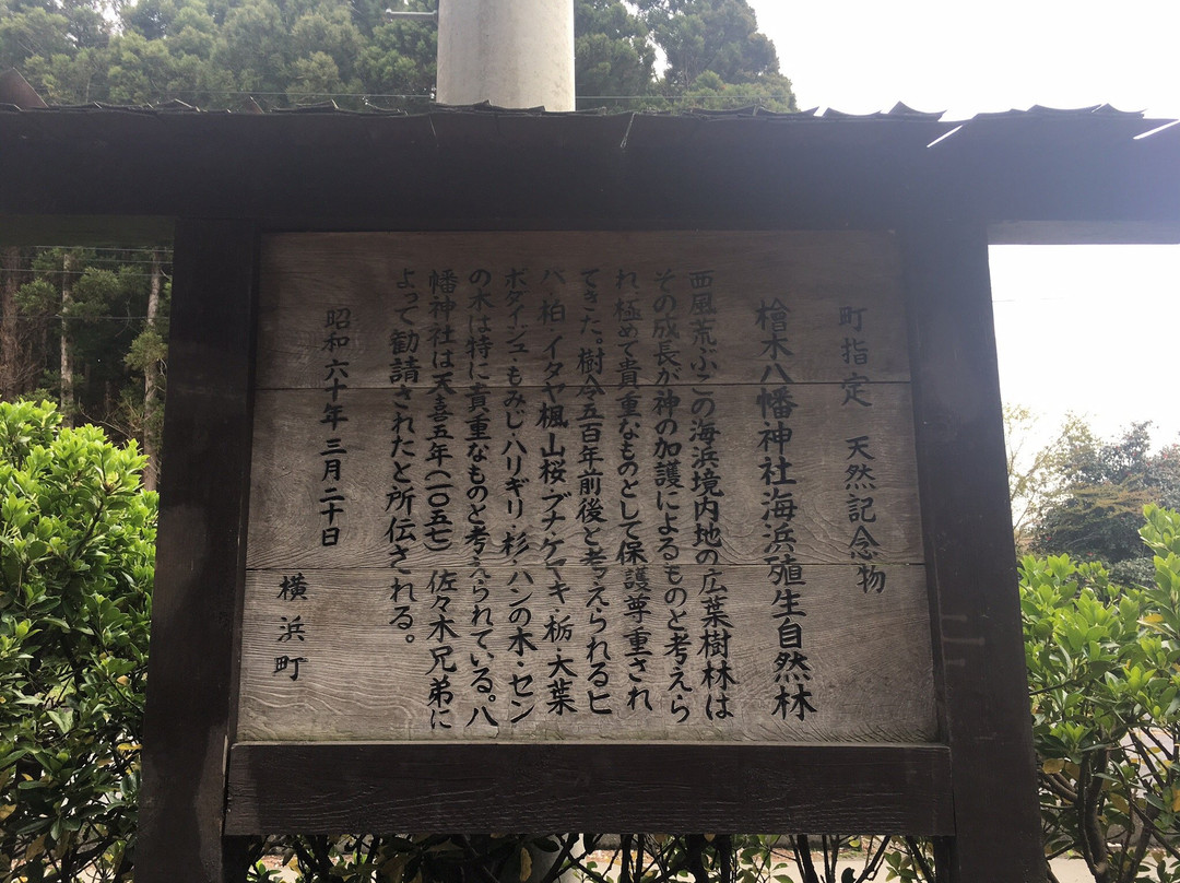 Hachiman Shrine景点图片