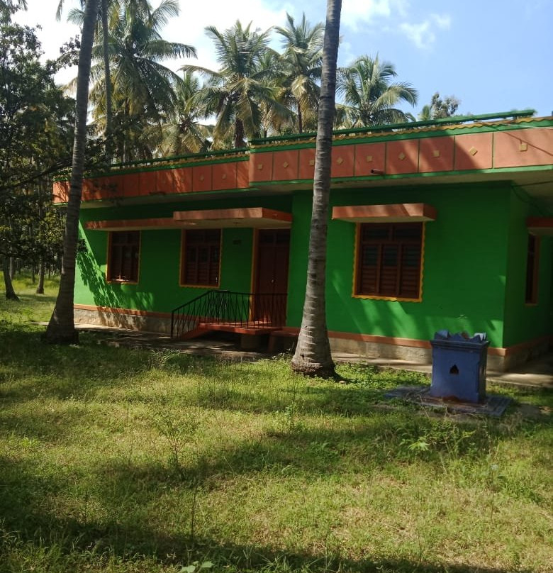 Olavipe Homestay主图