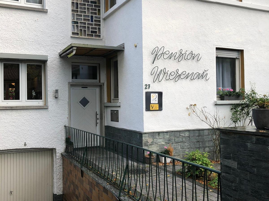 Hotel Pension Wiesenau主图