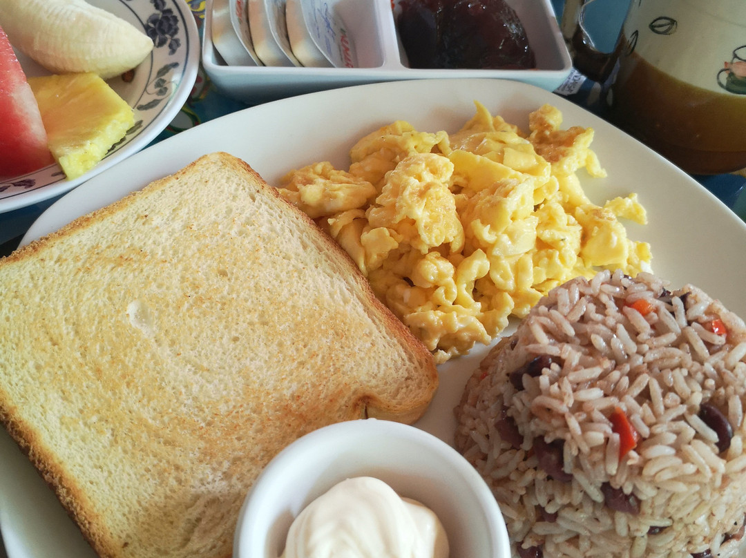 Los Amigos Jungle Hotel Tortuguero主图