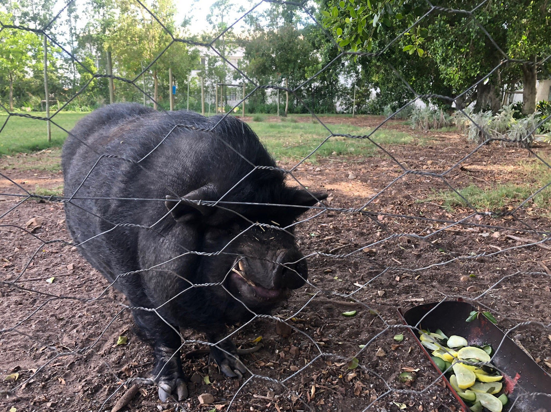 Platform 62-Ashton必去景点