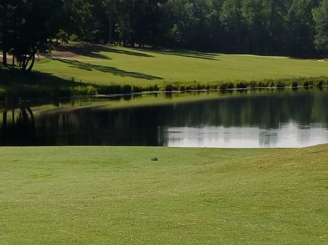 Dormie Golf Club景点图片