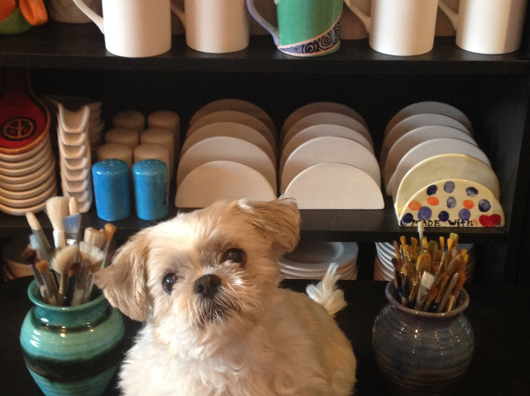Brushes & Bisque景点图片