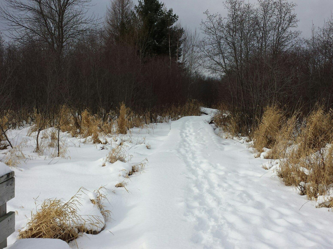 霍顿旅游景点-Nara Nature Park