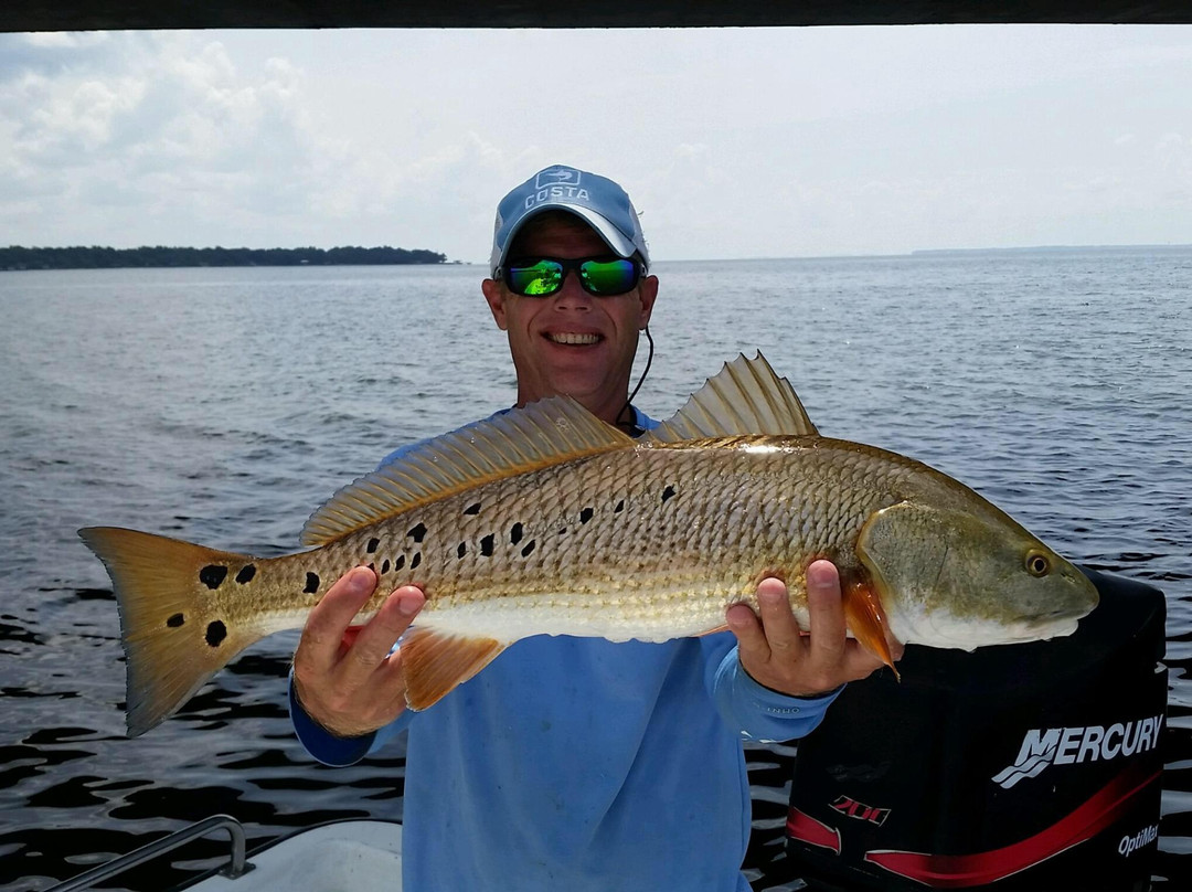 Eagle Ray Charters-圣罗萨海滩必去景点