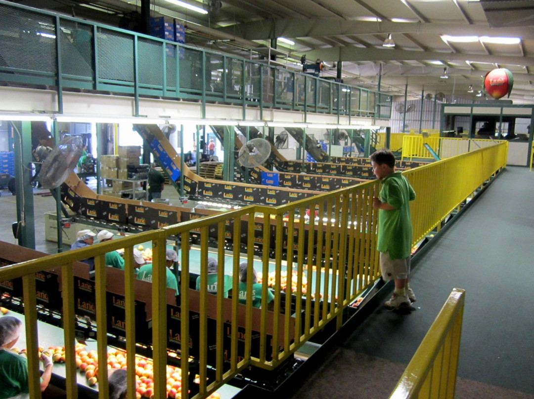 Lane Southern Orchards