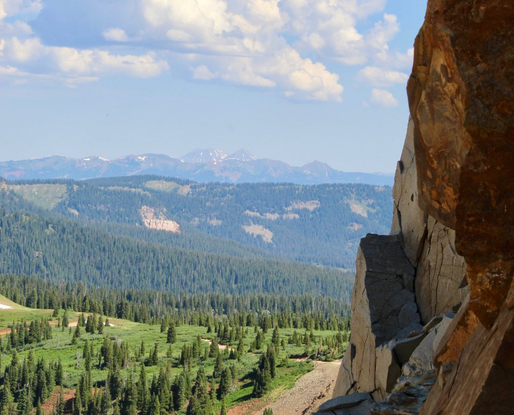 Durango Adventure Tours景点图片