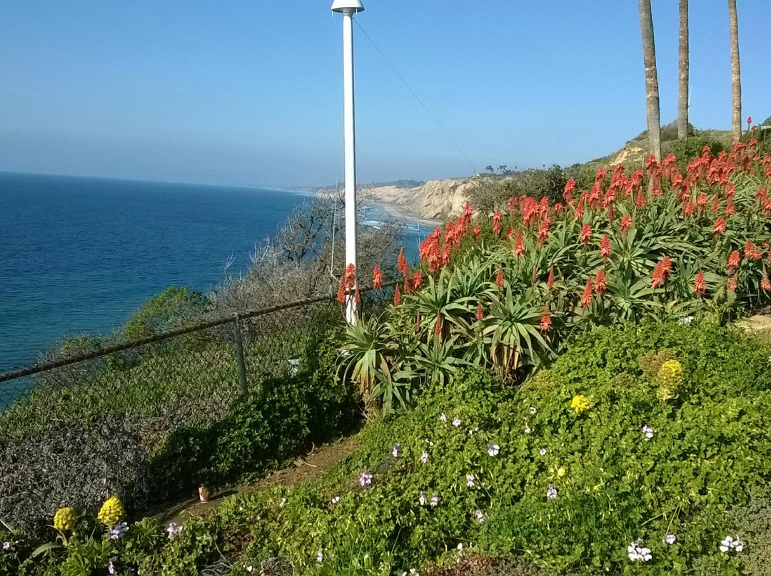 Scripps Institute of Oceanography Coastal Reserve景点图片