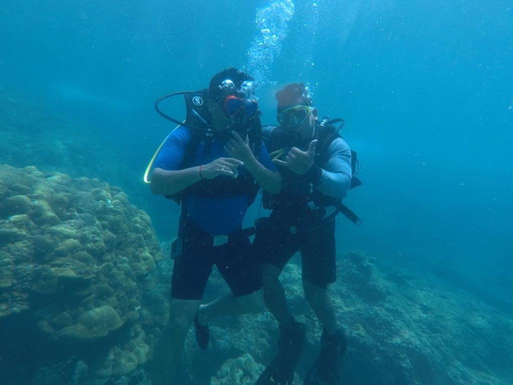 Scuba Yogi景点图片