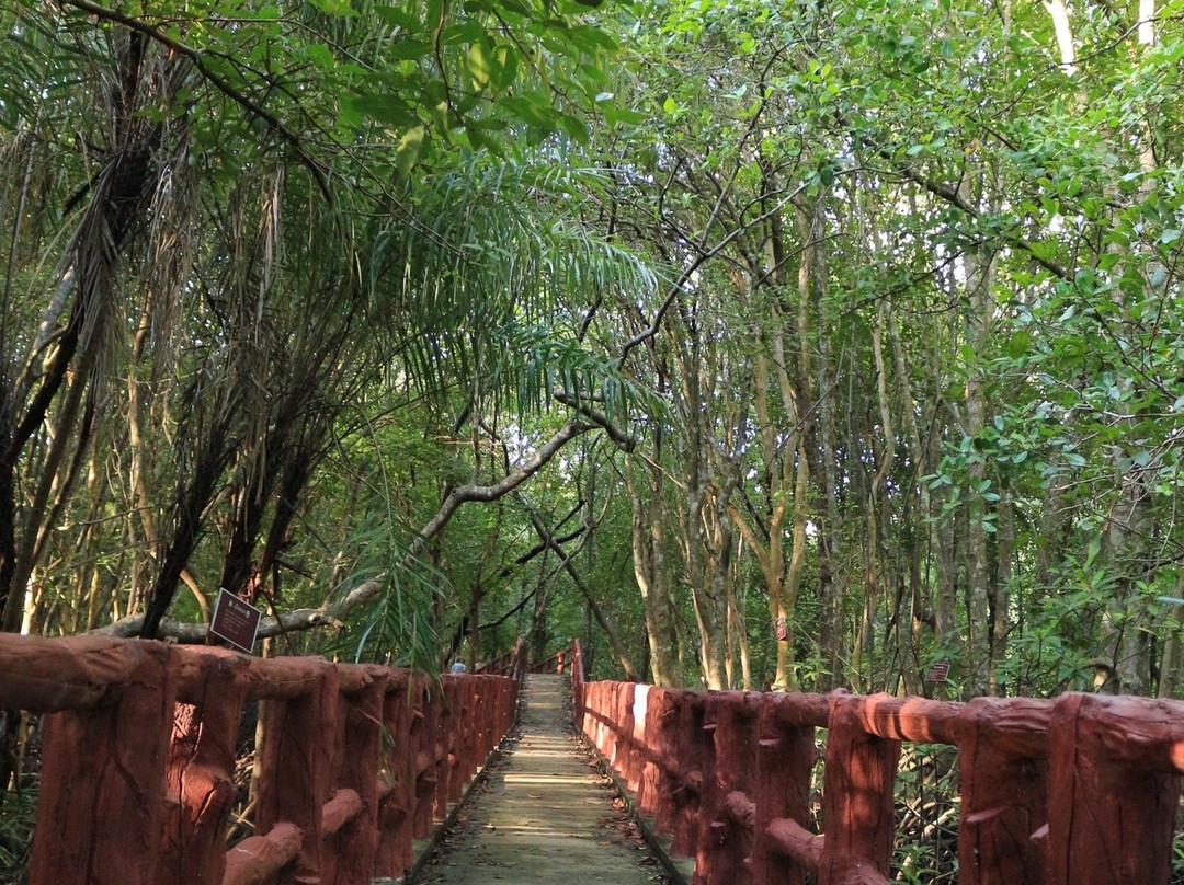 Krabi Urban Forest景点图片