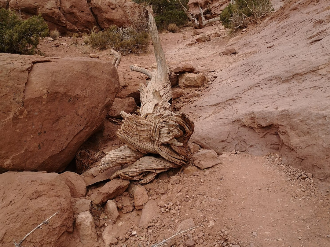 Arches National Park Scenic Drive景点图片