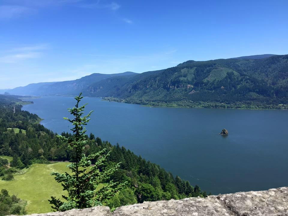 Cape Horn Lookout景点图片