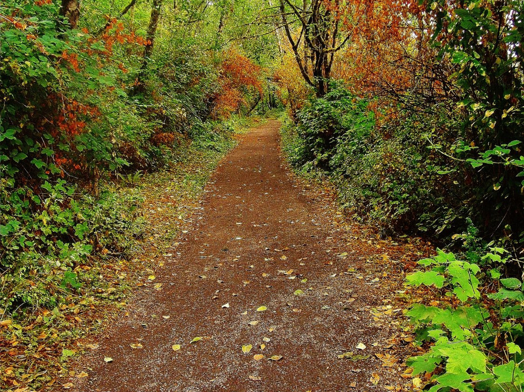 Lacamas Heritage Trail景点图片