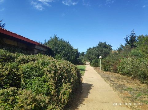 Al-Rom Tourism-El Rom必去景点