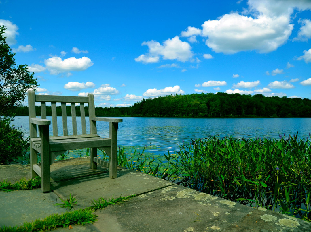 Lake Ariel旅游攻略图片