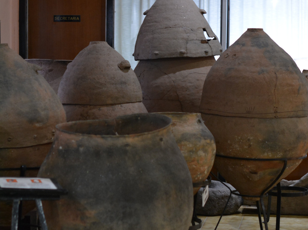 Province of Catamarca旅游景点-Museo Arqueologico Andalgala