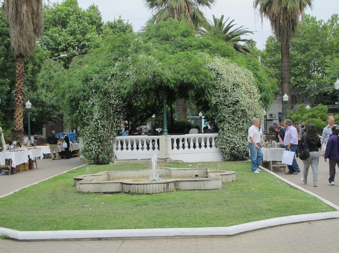 Plaza Pellegrini景点图片