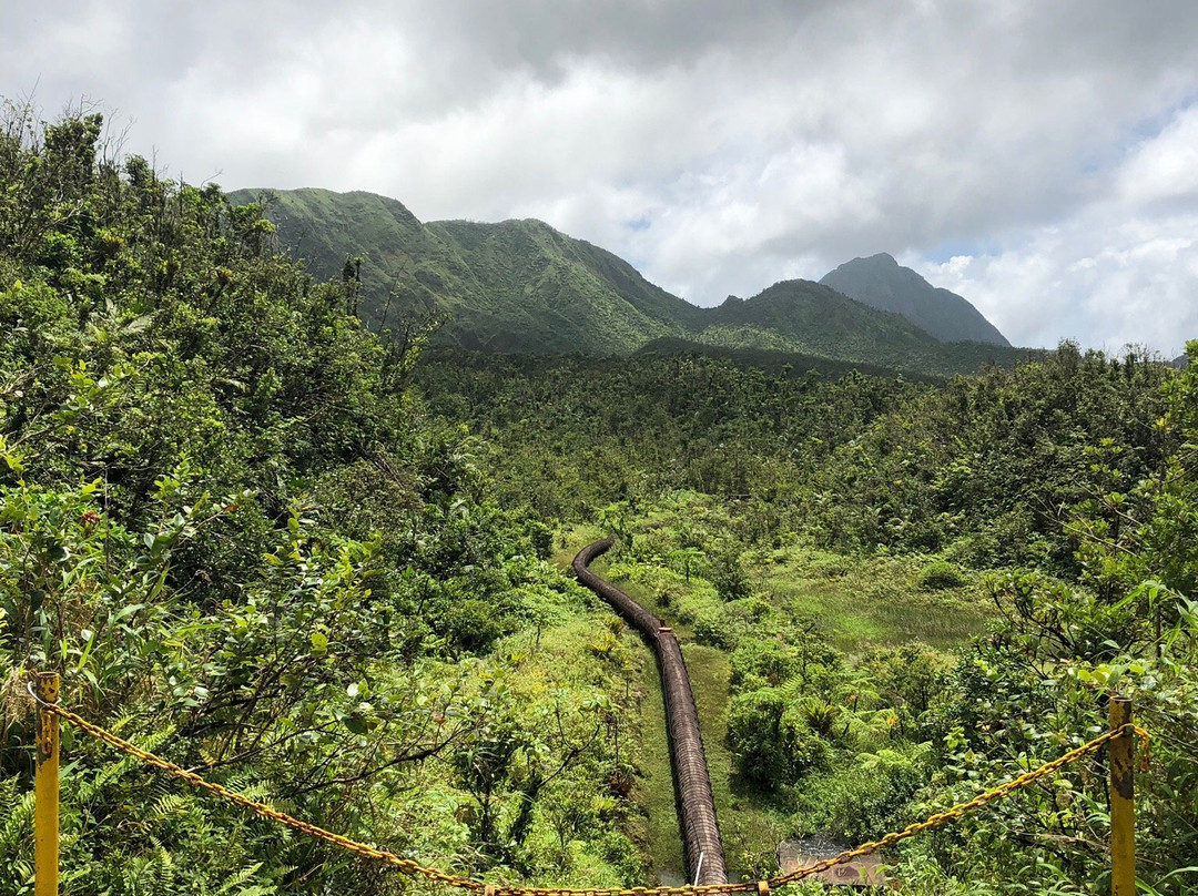 Freshwater Lake-Morne Trois Pitons National Park必去景点