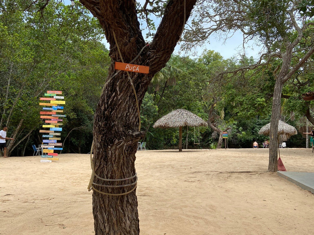 Praia do Puçá-Aurora do Tocantins必去景点
