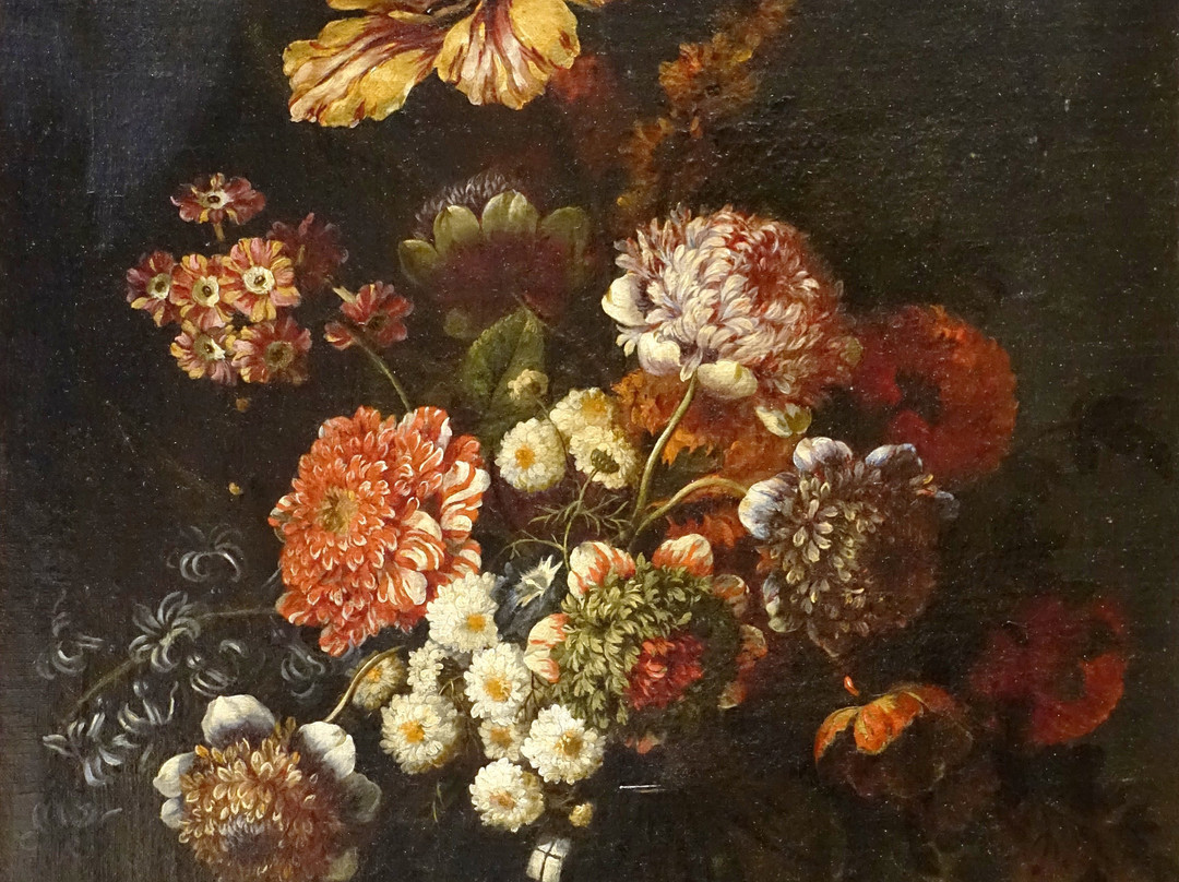 Musee des Beaux-Arts de Caen景点图片