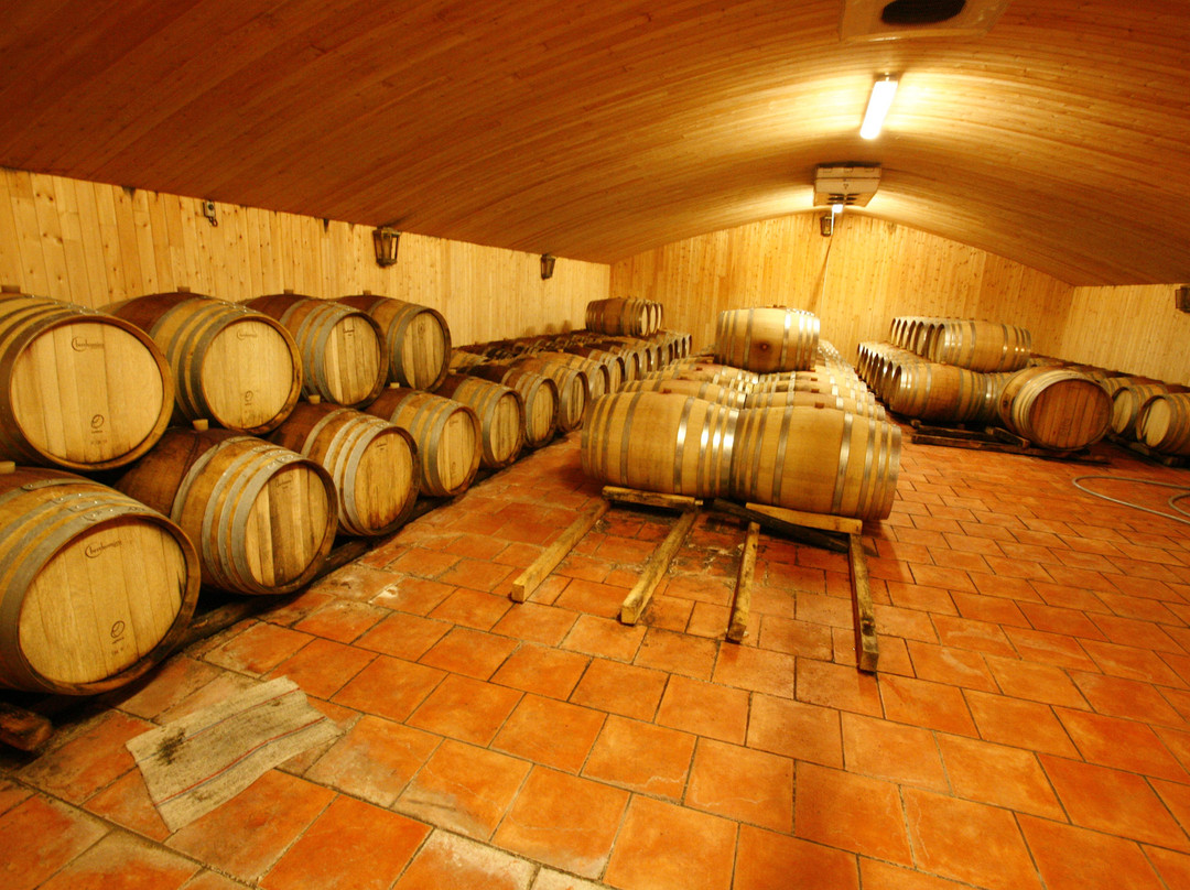 Chateau Morin-Langaran-Meze必去景点